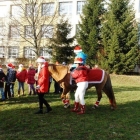 Mikołaj i 